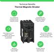 HOM290 Interruptor Enchufable Homeline 2P 90A 10kA 120-240Vac Schneider Electric