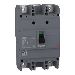 EZC250H2125 Interruptor Automático Fijo EasyPact EZC250H TMD 125 A 2P2D Schneider Electric