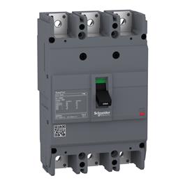 EZC250N3100 Interruptor Automático Fijo EasyPact EZC250N TMD 100 A 3P3D Schneider Electric
